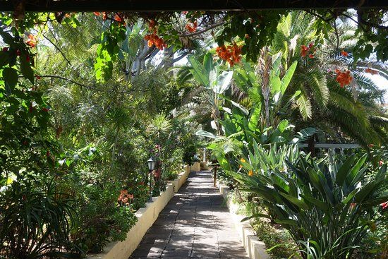 Jardín de Orquídeas de Sitio Litre